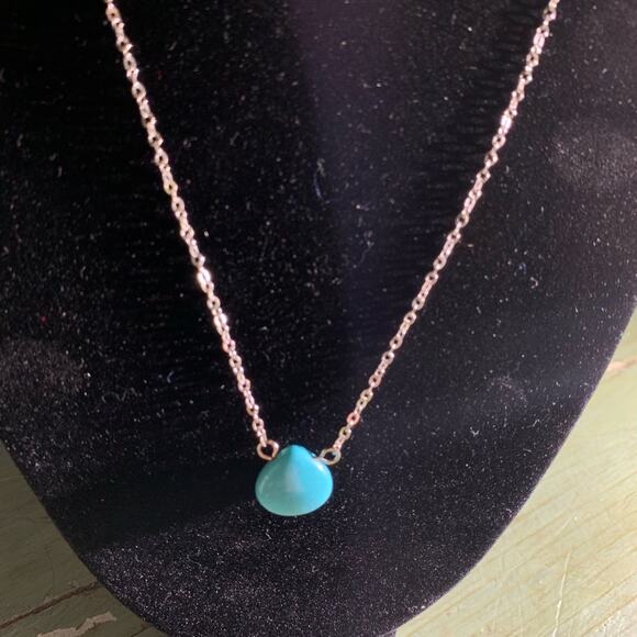 NWT TURQUOISE BRIOLETTE NECKLACE SILVERTONE CHAIN - Picture 1 of 2